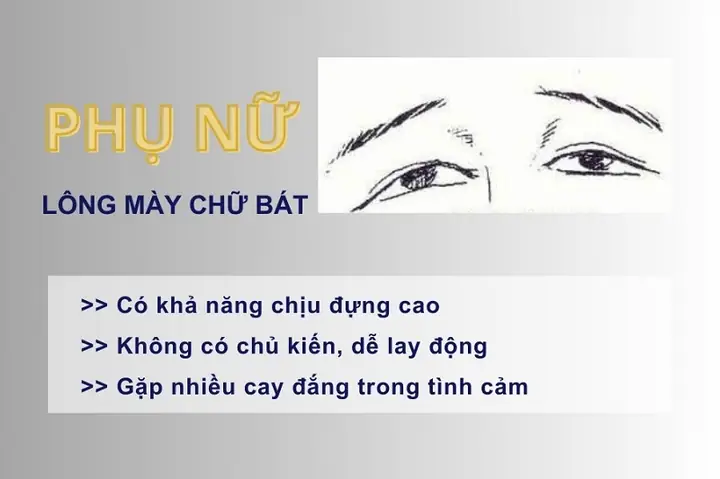 Tướng Lông Mày Hình Chữ Bát