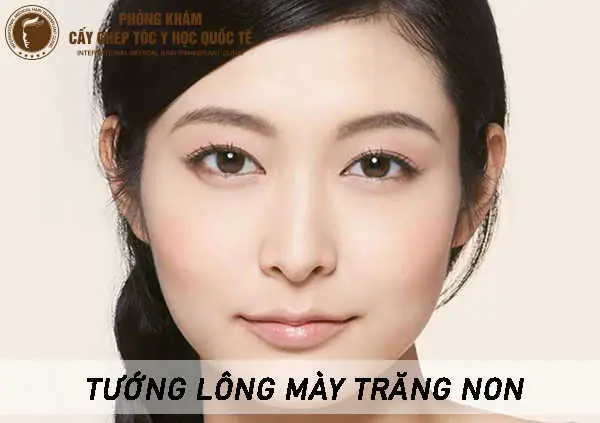 Tướng Lông Mày Hình Mũ Nón