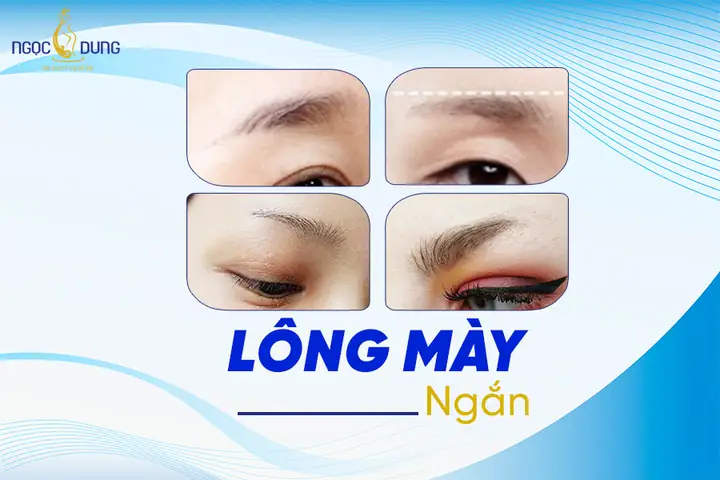 Tướng Lông Mày Ngắn