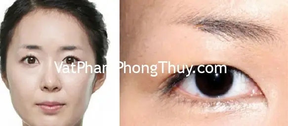 Tướng Lông Mày Ngắn