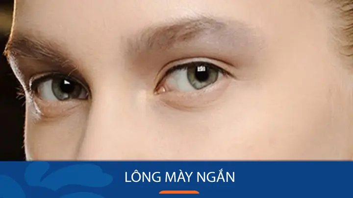 Tướng Lông Mày Ngắn Và Mờ