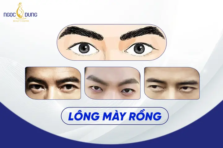 Tướng Lông Mày Nữ
