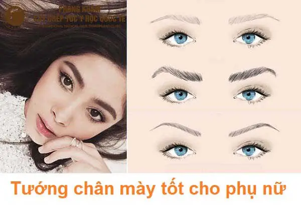 Tướng Lông Mày Phụ Nữ Tốt Tướng Lông Mày Phụ Nữ Tốt