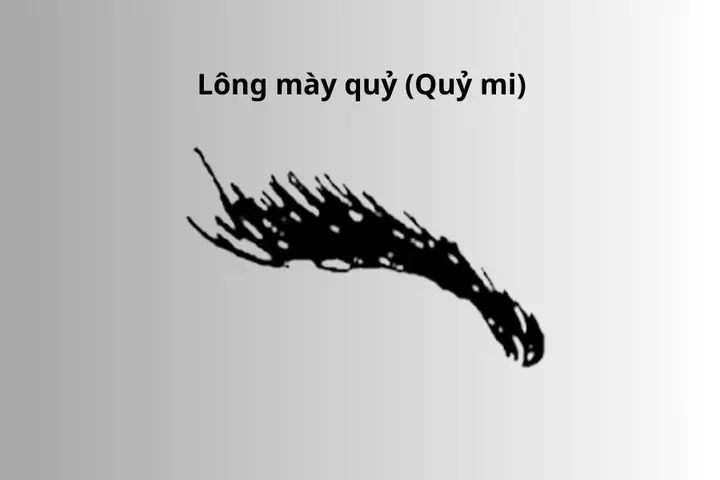 Tướng Lông Mày Quỷ Tướng Lông Mày Quỷ