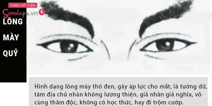 Tướng Lông Mày Quỷ