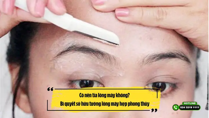 Tướng Lông Mày Trổ Ngược