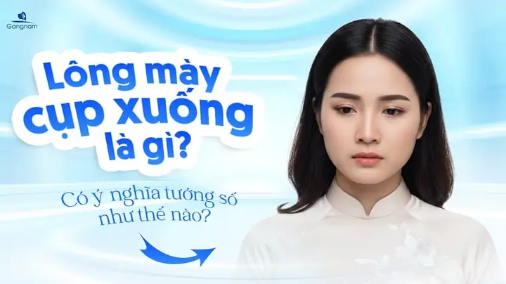 Tướng Lông Mày Trổ Ngược