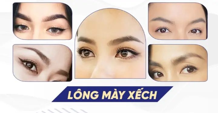 Tướng Lông Mày Xếch Tướng Lông Mày Xếch