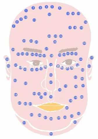 Tướng Mặt Các Bộ Vị Trên Mặt