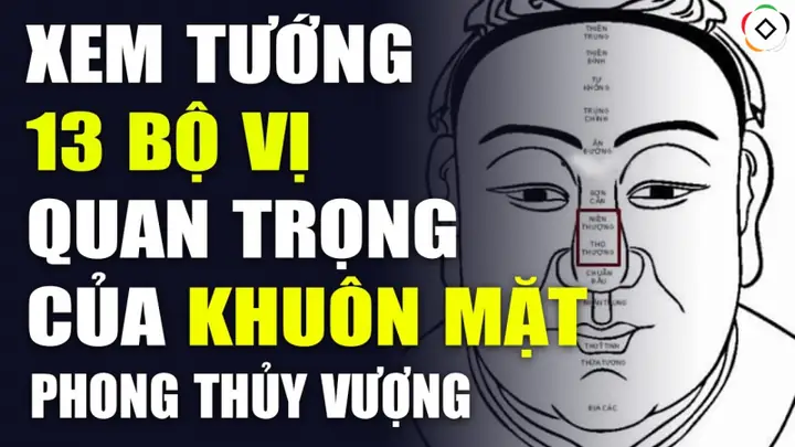 Tướng Mặt Các Bộ Vị Trên Mặt