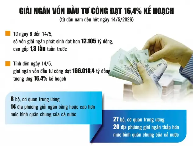 Tướng Mặt Cho Biết Người Giỏi Dầu Tư