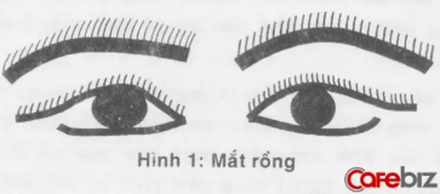 Tướng Mắt Cú Vọ