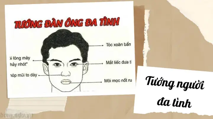 Tướng Mắt Đa Tình Tướng Mắt Đa Tình