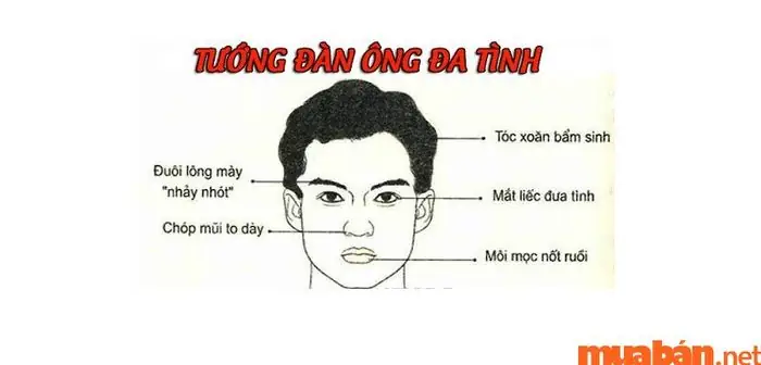 Tướng Mắt Đa Tình Tướng Mắt Đa Tình