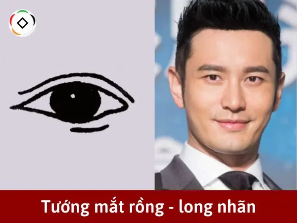 Tướng Mắt Đàn Ông Tướng Mắt Đàn Ông