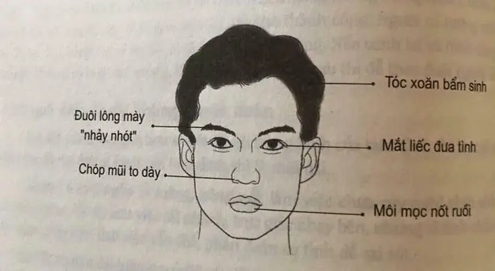 Tướng Mặt Đàn Ông Đào Hoa