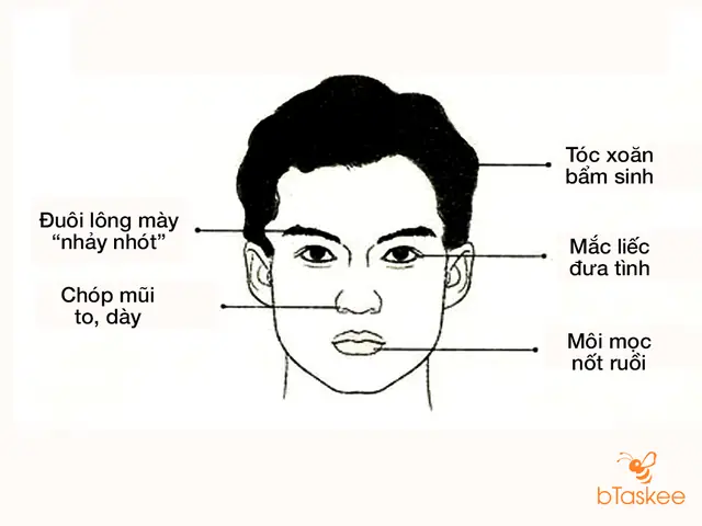 Tướng Mặt Đàn Ông Đào Hoa Tướng Mặt Đàn Ông Đào Hoa