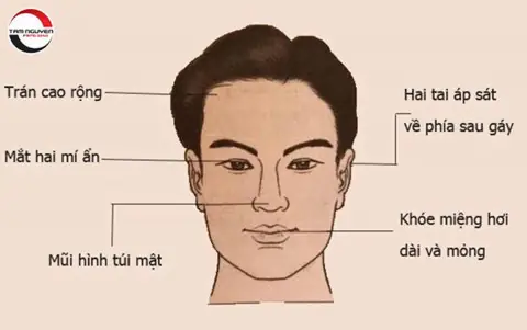Tướng Mặt Đàn Ông Gia Trưởng