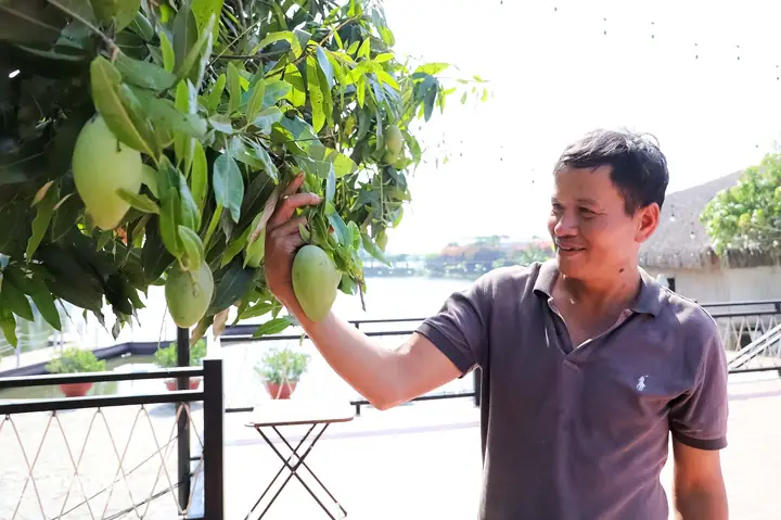 Tướng Mặt Dàn Ông Hình Quả Xoài