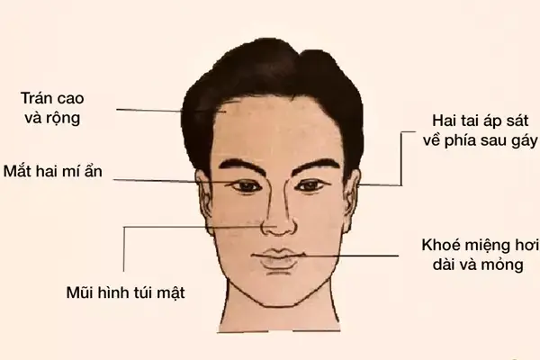 Tướng Mặt Đàn Ông Thương Vợ