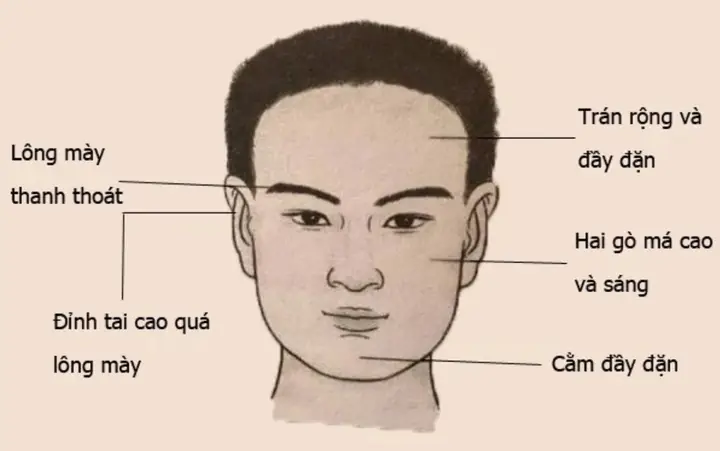 Tướng Mặt Đàn Ông Tot