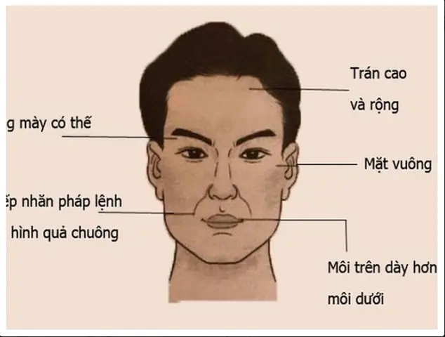Tướng Mặt Đàn Ông Trăng Hoa