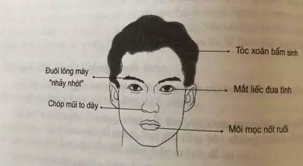 Tướng Mặt Đàn Ông Xấu