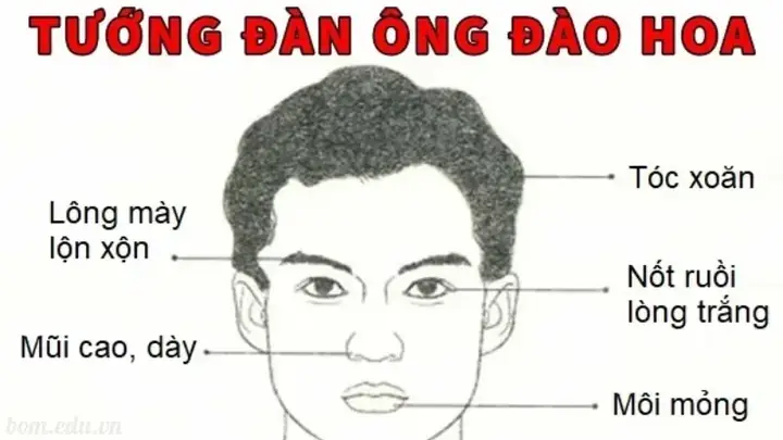 Tướng Mặt Đào Hoa