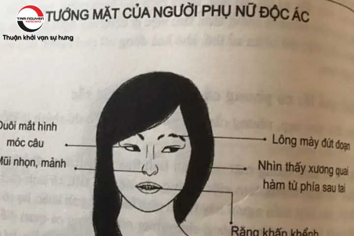 Tướng Mặt Gian Tà