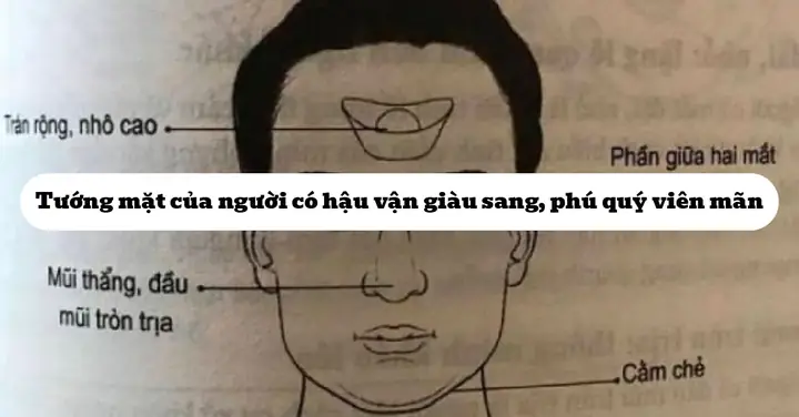 Tướng Mặt Giàu Sang Phú Quý