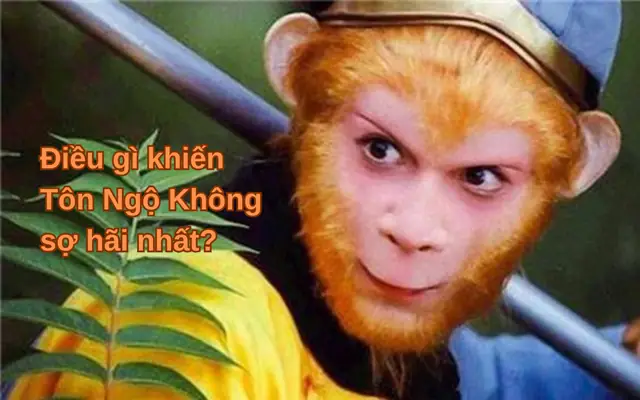 Tướng Mặt Giống Khỉ Tướng Mặt Giống Khỉ