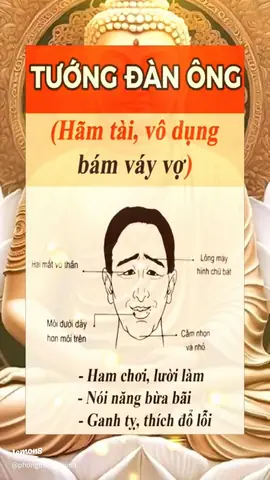 Tướng Mặt Hãm Tài Tướng Mặt Hãm Tài