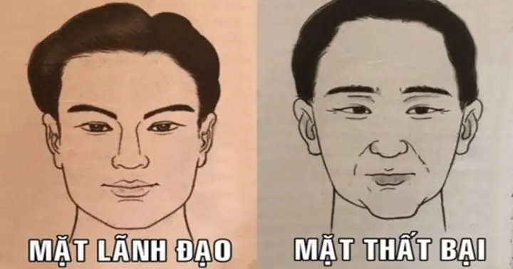 Tướng Mặt Hãm Tài
