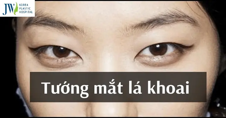 Tướng Mắt Lẳng Lơ Đàn Ông Tướng Mắt Lẳng Lơ Đàn Ông