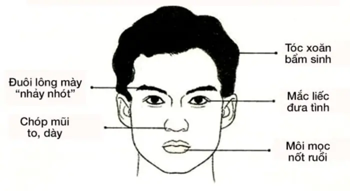 Tướng Mặt Người Đàn Ông Trăng Hoa Tướng Mặt Người Đàn Ông Trăng Hoa