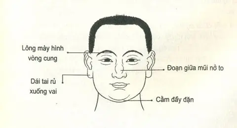 Tướng Mặt Người Hiền Lành