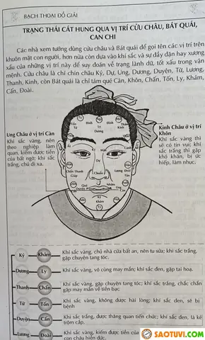 Tướng Mặt Người Quân Tử Tướng Mặt Người Quân Tử