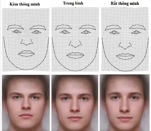 Tướng Mặt Người Thông Minh