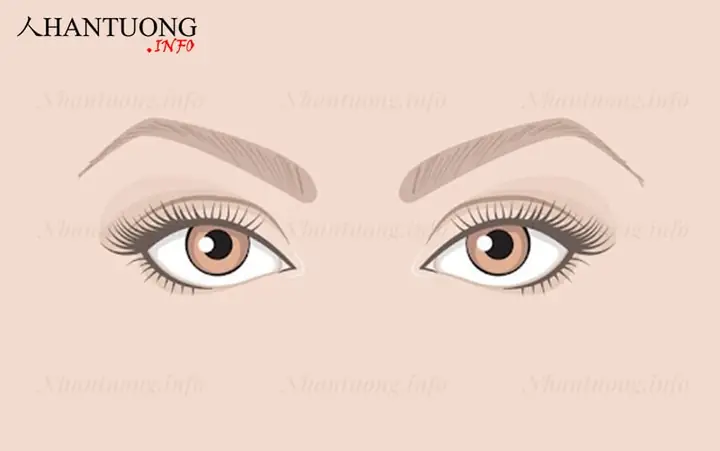 Tướng Mắt Nhiều Lòng Trắng Tướng Mắt Nhiều Lòng Trắng