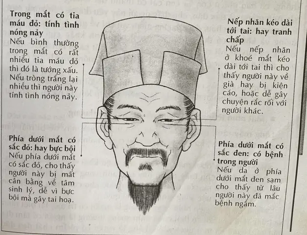 Tướng Mắt Nhìn Xuống