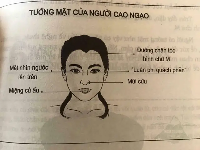 Tướng Mặt Phụ Nữ Cao Ngạo