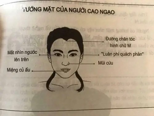Tướng Mặt Phụ Nữ Cao Ngạo