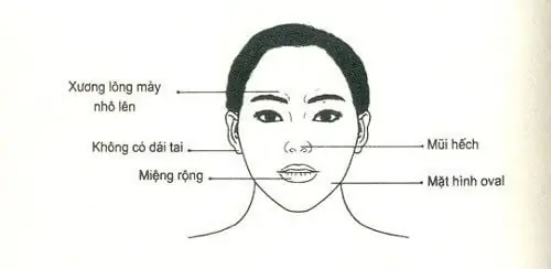 Tướng Mặt Phụ Nữ Khổ