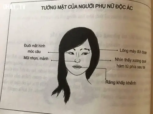 Tướng Mặt Phụ Nữ Nên Lấy Làm Vợ
