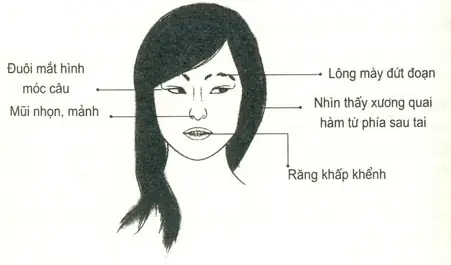 Tướng Mặt Phụ Nữ Tai Quái