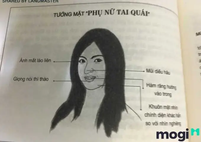 Tướng Mặt Phụ Nữ Tai Quái