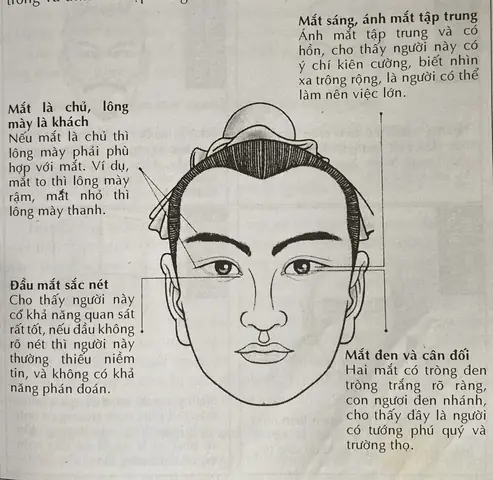 Tướng Mắt Phú Quý