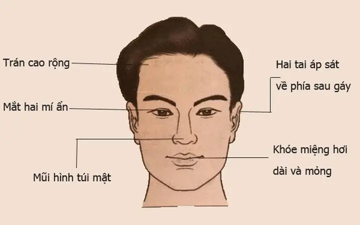 Tướng Mặt Siêu Quần Tướng Mặt Siêu Quần