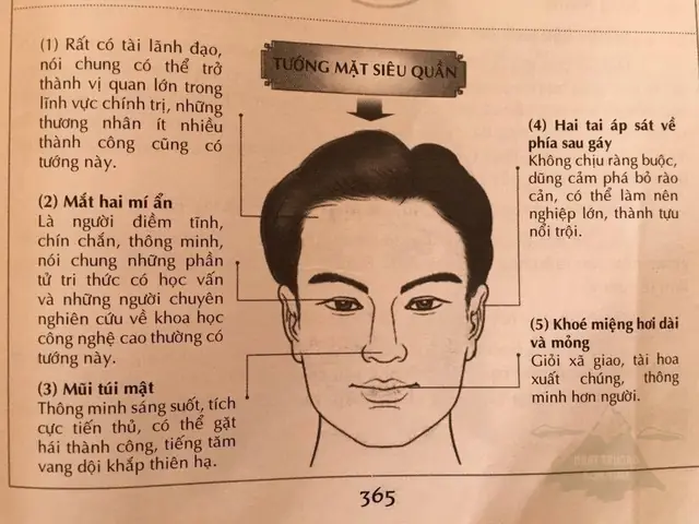 Tướng Mặt Siêu Quần