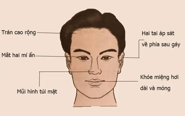 Tướng Mặt Siêu Quần Tướng Mặt Siêu Quần